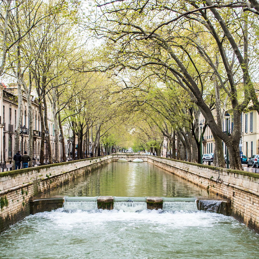 france-nime-montpellier-10