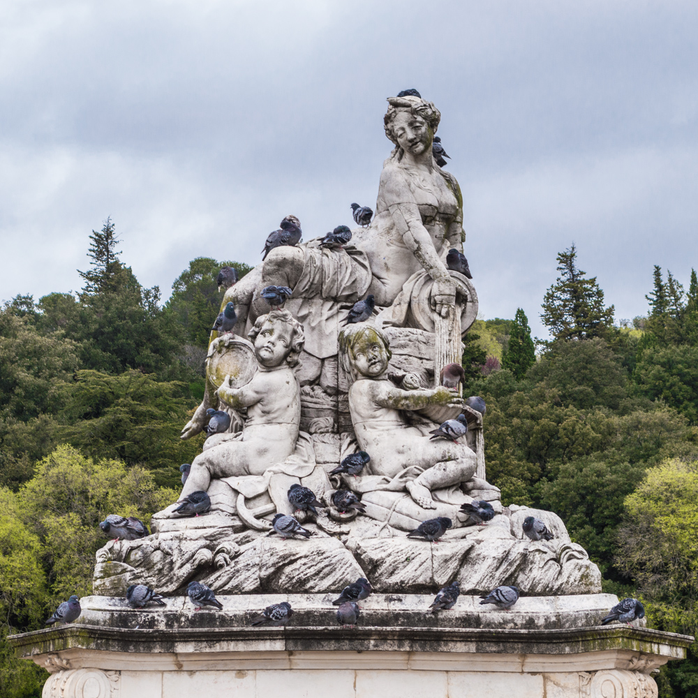 france-nime-montpellier-4